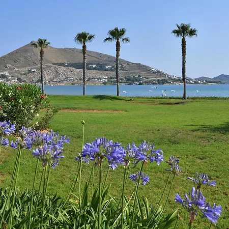 Astir Of Hotel Parikia (Paros)