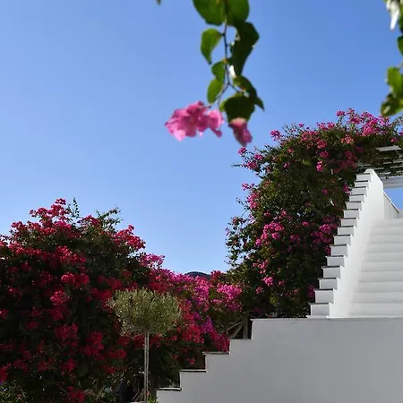 Astir Of 5* Parikia (Paros)
