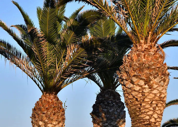 Hotel Astir Of Parikia (Paros)