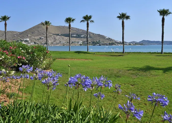 Astir Of ホテル パロス島